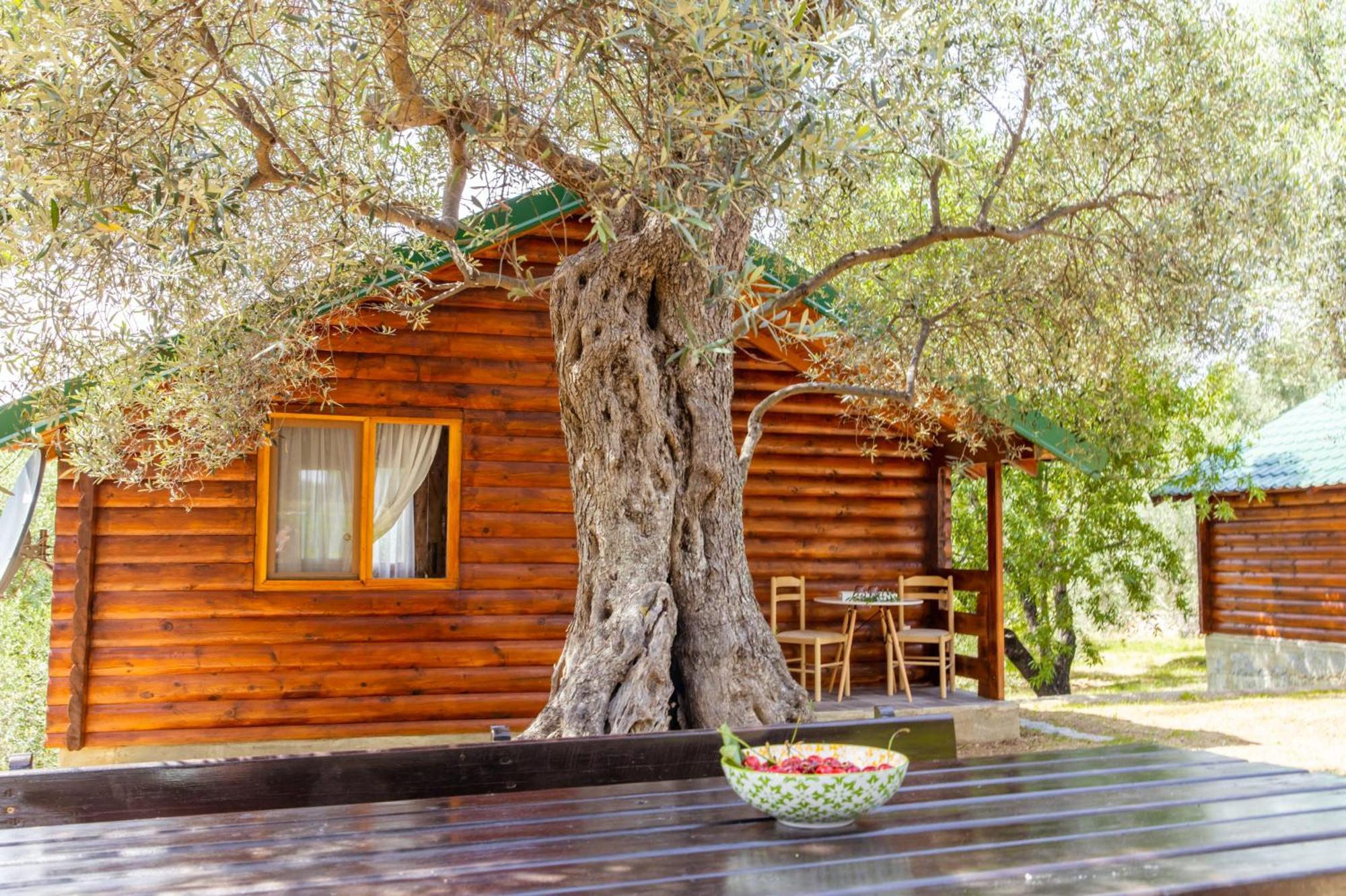 Katana Village Apartment Ulcinj Zewnętrze zdjęcie